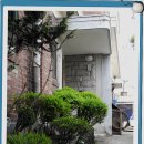 마당넓은 집 이미지