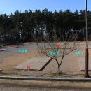 솔바람캠핑장 이미지