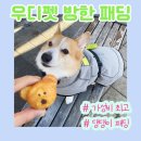 벅구베이크 | 입히기 쉬운 강아지 패딩 우디펫 콜드 프로텍션 그레이 컬러