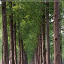 하늘공원(하부) 이미지