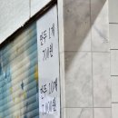 중국손만두 이미지