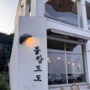 블랑도도 | 포항 오도리 카페 추천 블랑 도도 내 돈 내산 후기, 포항 해루질 장소