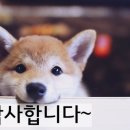 라이프샾