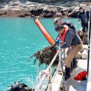 연안마트 이미지