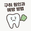알기 쉬운 생활풍수 | 부천치아교정: 고민에서 결정까지, 알기 쉬운 가이드