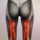 H.FIT운동센터 이미지