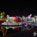 2026 태안빛축제 완전 정복 / 완벽 가이드: 연중무휴 야간 LED 빛의 나라 · 600만 전구 · 데이트...