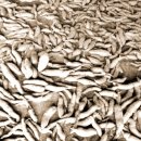 들샘농장 이미지