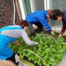 기로(여)경로당 이미지