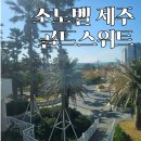 소노벨 제주 골드스위트 객실 후기 | 제일 큰 타입 분석