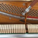 라온나라 이미지