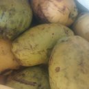 김천두메숲골 힐링마을 영농조합법인 이미지