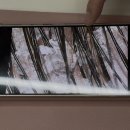 동탄역두피관리 리본에스테틱 후기｜붉은기 딱쟁이 열감까지 눈에 띄게 달라진 두피관리