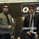 오아시스 이미지