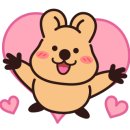 엉클펫 이미지