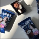 리즈픽 네이버블로그