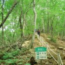 오지 1리 이미지