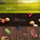 올캣