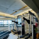 팀 드래곤 이미지