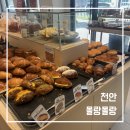 몰랑몰랑식빵 | 천안 신방동 몰랑몰랑 베이커리 솔직 후기, 빵 종류 많은 베이커리 카페