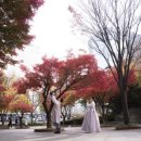 민이스냅 돌잔치 후기[2025.11]