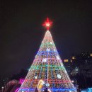 세종시 빛축제어 다녀왔어요 이미지