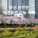 온천천남로 | 부산 벚꽃 카페 온천천 부바스 후기(애견 동반 가능)