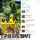 해피관광렌터카 | [발리#4] 발리 렌터카 우붓 여행 코스 추천｜구글맵 공유, 코스별 후기