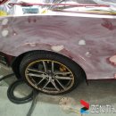 제니스오토 이미지