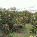 시은농장 이미지