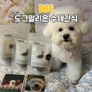 아이러브도그 | 도그말리온 강아지수제간식 국내산 수제간식 후기