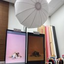신원로1 | 수원 광교 아기 돌사진 | 다비스튜디오 3돌 기념 무인 셀프촬영 후기