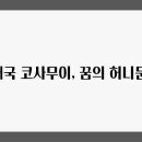 블루망고 이미지