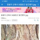 도토리PC방 이미지