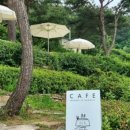 토담마실 이미지