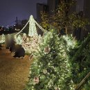 독립문역 | 서울 종로 독립문역 스누피 피너츠 x 제이닷트리 크리스마스 팝업 방문후기