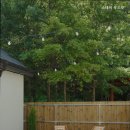 우드잇스테이 이미지