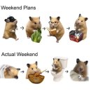 더 캠프PC 이천본점 | 11월。달력의 마지막 장을 향해