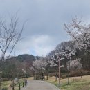 기배역사공원 네이버블로그