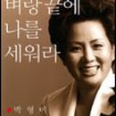 박형미