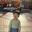 해맑은태권도장 - 서구 장고개로 281 | 7살 아이 인라인스케이트 첫 도전, 어린이 인라인 보호장비부터 연습 후기까지