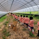 새미기픈믈유치원 이미지