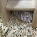 수완종합 동물병원 이미지