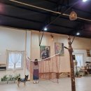 ICHEON120 | 잔디마당부터 실내운동장까지! 이천 애견동반 독채펜션, 쩜오민박