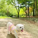 탄방제일경로당 이미지