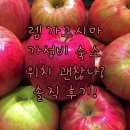 렘 가고시마.. 가성비와 위치, 과연 만족스러울까?