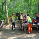 자작나무한의원 이미지