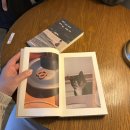 서암로 | 사동 카페 추천 분위기 좋은 여운커피 에그스콘 맛집 후기