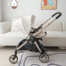 골드그린세탁 | 절충형 유모차 ABC디자인 태그 단델리온 언박싱 첫사용 후기