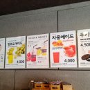 하바나포토라인